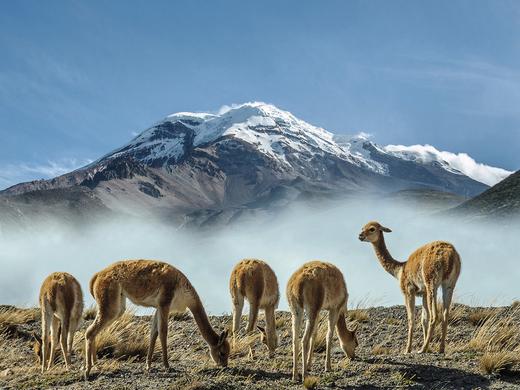 Ecuador & Galapagos