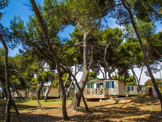 ARENA Stoja-Mobile Homes