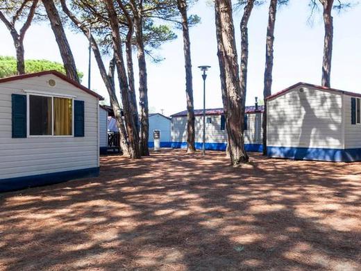 Pineta sul Mare Camping Village