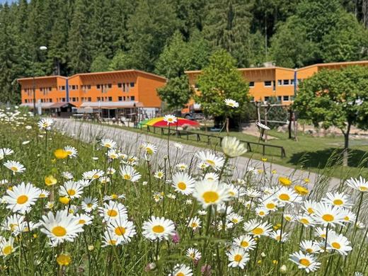 Aqua Park Spindleruv Mlyn