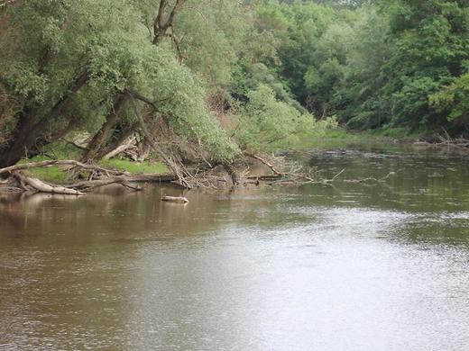 Winzerhof Küssler - Weinviertel