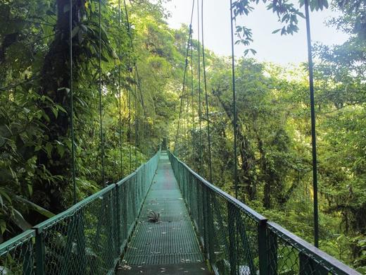Geheimnisvolles Costa Rica: Nebelwald und Rote Aras
