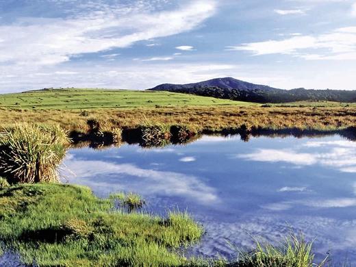 Sri Lankas kulturelle Höhepunkte und das Hochland (Privatreise)