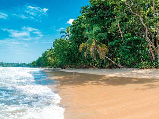 Costa Rica für kleine Entdecker