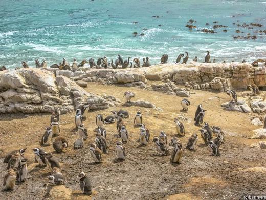 Südafrika.Rundreise