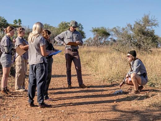 Flora, Fauna & Spurenlesen,Safari Guide Experience