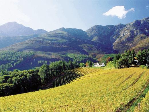 Wellness, Wein & wilde Tiere