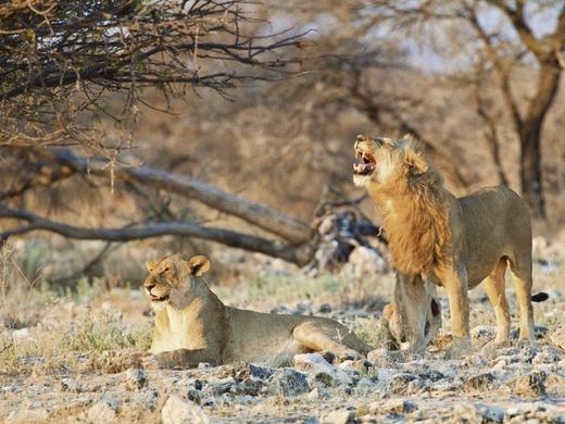 Namibias Nationalparks