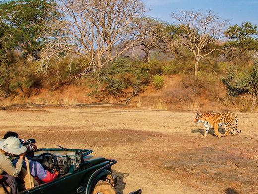 Das Goldene Dreieck Indie