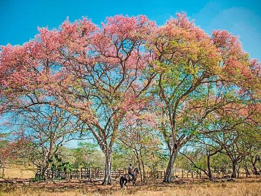 Unentdecktes Costa Rica