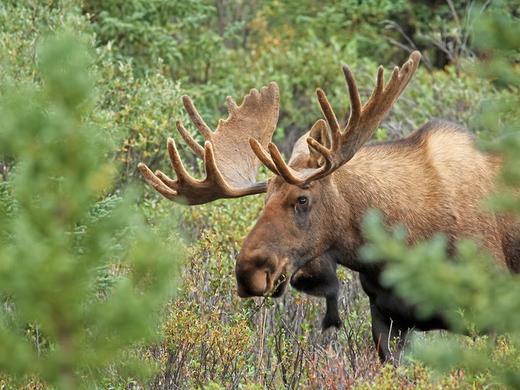 Schwedens Countryside