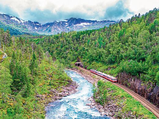 Anreisepaket Havila Voyages,Erlebnis Bergenbahn im Sommer