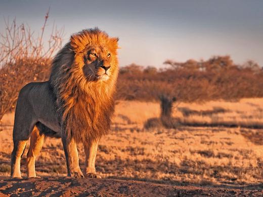 Mpumalanga - Im Reich der wilden Tiere