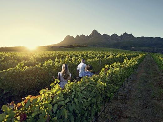 Cape in Style ab/bis Kapstadt