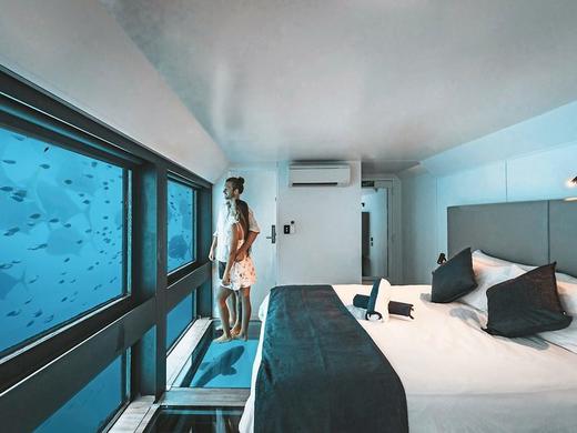 Reef Suite