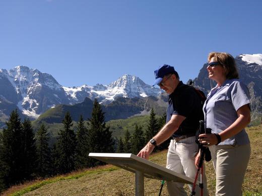 Bahn-Wandern Jungfrauregion ab Grindelwald