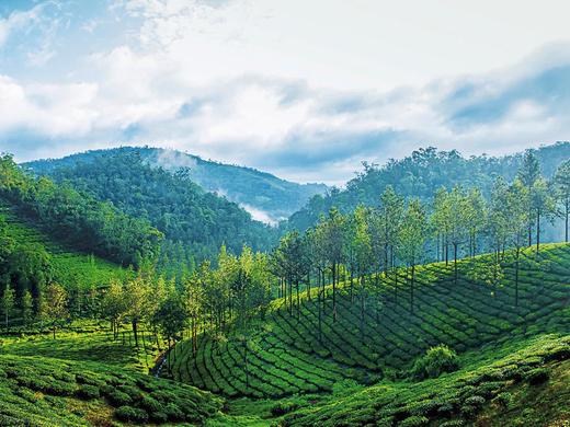 Kerala nachhaltiger entdecken