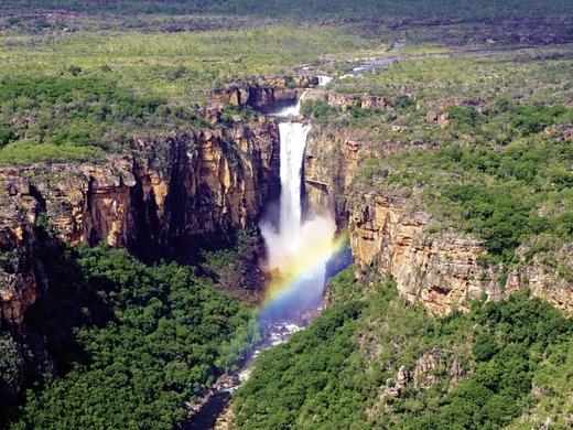 Kakadu auf eigene Faust,Kakadu & Co - Natur pur im Top End