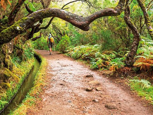 Madeira individuell - der Levada Trek