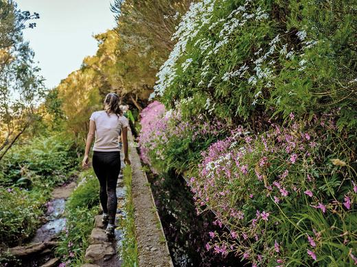 Madeira individuell - von Quinta zu Quinta