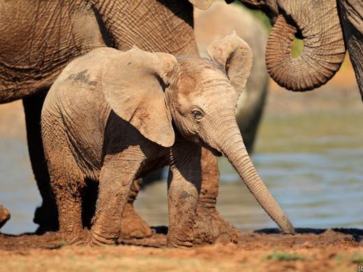 Große Afrika Rundrei