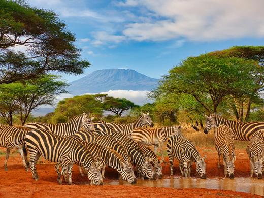 Rundreise Kenia - Severin Safari Camp,Severin Safari Camp,Severin Camp Safari