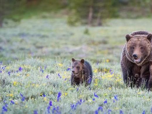 Rundreise West-Kanada