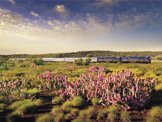 Indian Pacific - Von Perth nach Sydney - 5 Tage