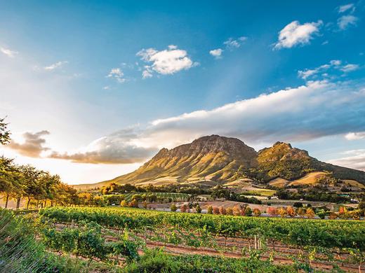 Kap Sinfonie (Gruppenreise),Kap Sinfonie - Kleingruppenreise