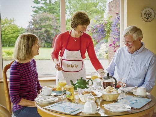 Festgebuchte B&B's Band 1