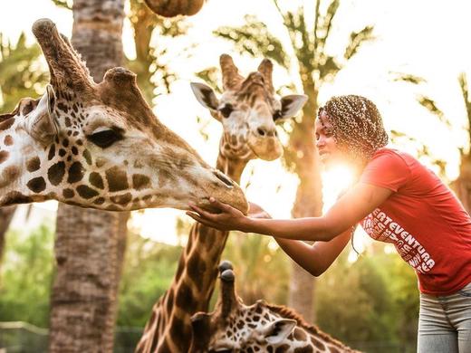 Oasis Wildlife Fuerteventura R2 Rio Calma