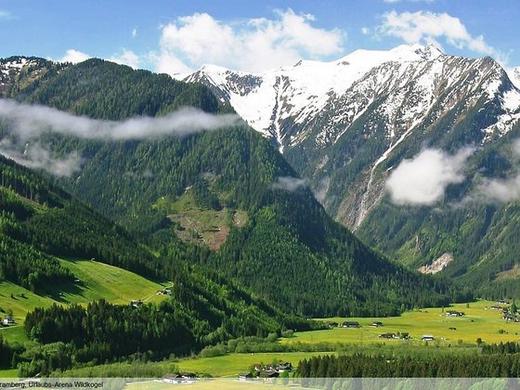 Appartements Behamhof