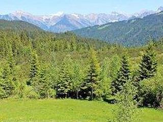 Alpengasthof Hörnlepass (tt)