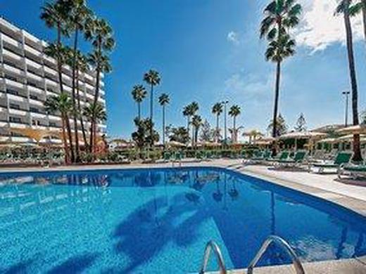 Bull Eugenia Victoria