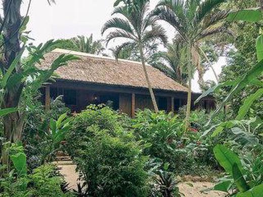 Dschungelabenteuer Lamanai