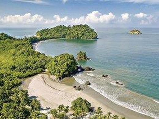 Wildlife Pur von der Karibik zum Pazifik