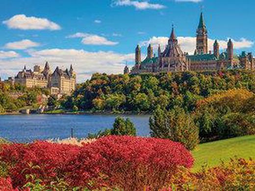 Auf den Spuren der Elche