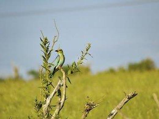 Abenteuer Kenia (Privatreise)