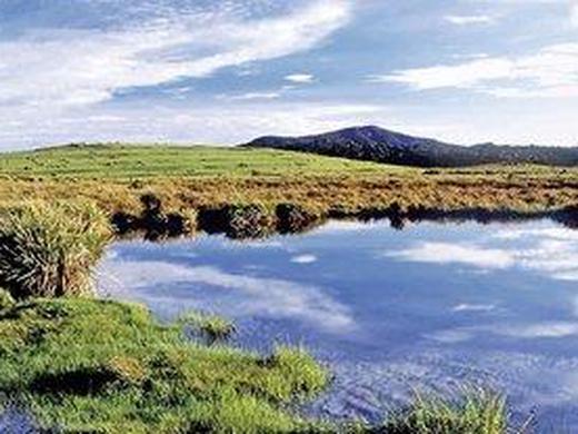 Sri Lankas kulturelle Höhepunkte und das Hochland (Privatreise)