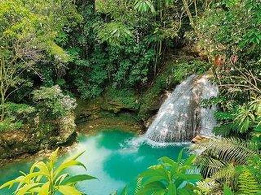 Reggae, Rum und Me(h)er