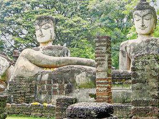 Sri Lanka Allround (Privatreise)