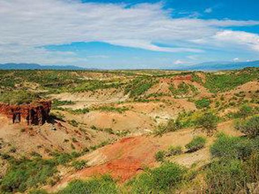 Abenteuer Tansania (Privatreise)