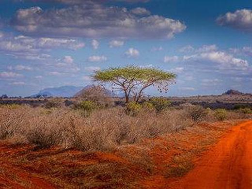 Rundreise Kenia Hautnah