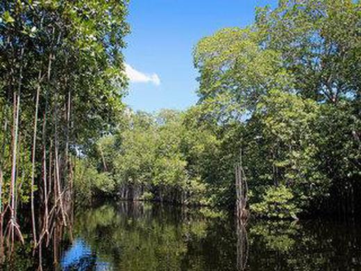 Rundreise Jamaika: Island Classics