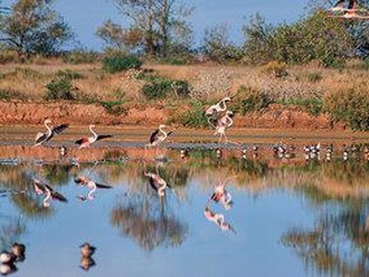 Trendregion Alentejo