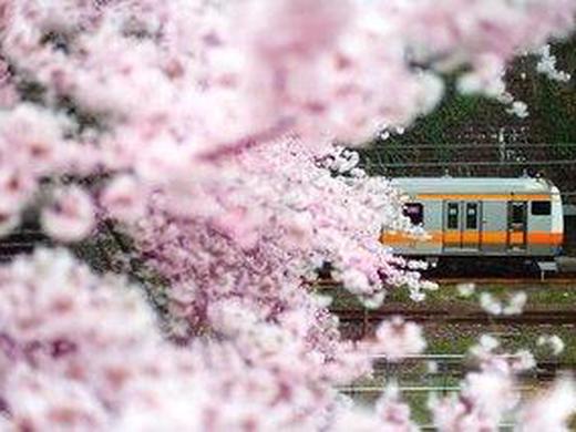 Rundreise - Japan Individuell