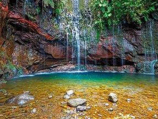 Die besten Seiten von Madeira