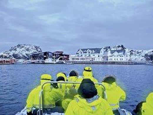 Wildlife, Polarlichter und Naturparadies Senja