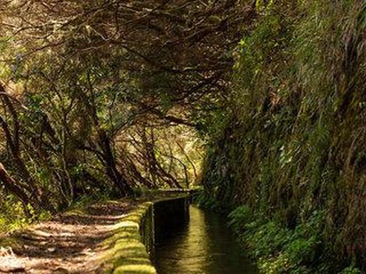 Rundreise Wandern: ASI - Madeiras Highlights erwandern