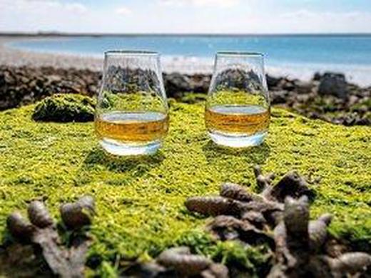 Whiskytour - Isle of Islay und die Küste